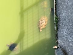 -天王寺公园