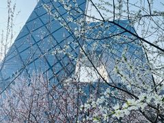 -中央广播电视总台(光华路办公区)