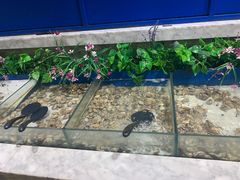 -火锅岛潮牌自助餐厅(天津天佑城店)