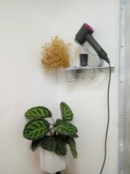 -型走Symbol造型