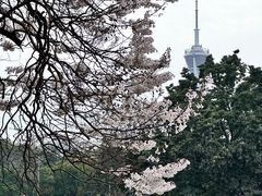 -红星桥(地铁站)
