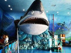 -多彩贵州城极地海洋世界