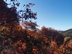 -北京西山国家森林公园