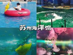 -苏州海洋馆