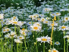 -汉长安城未央宫国家考古遗址公园