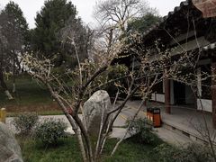 -西安青龙寺遗址景区