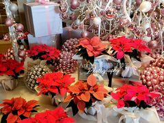 -广州粤海喜来登酒店