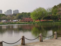-杭州城北体育公园