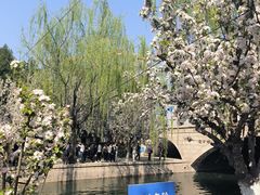 -元大都城垣遗址公园