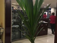 -葛记红焖羊肉(和平路形象店)