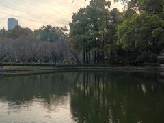 -晓港公园