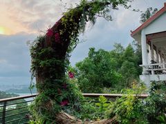 -深圳仙湖植物园