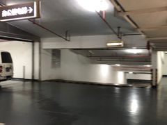 -莘庄龙之梦停车场