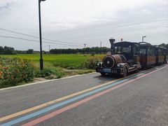 -莲花岛景区