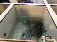 -贡椒鱼老店·雅安十大名店
