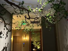 -台鄉缘 ·台府(张江科学城店)