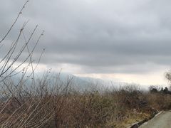 -玉湖村