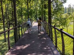 -黄海国家森林公园