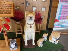 -大江户·温泉洗浴(浑南店)