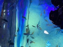 -沈阳海洋探索中心