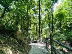 -三块石国家森林公园