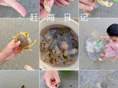 -北海银滩一号国际会议中心酒店