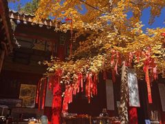 -少华山国家森林公园