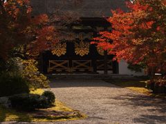 -醍醐寺
