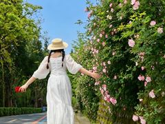 -太阳湾风景区