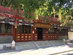 -古陶文明博物馆