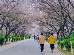 -山东师范大学(千佛山校区)