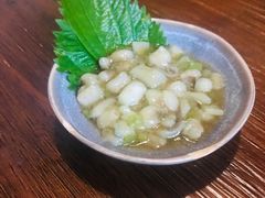 -鸟亭·居酒屋(青年路店)
