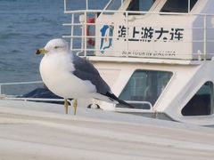 -黑石礁公园
