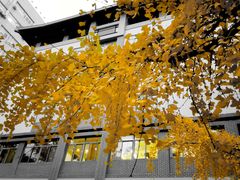 -四川大学(华西校区)