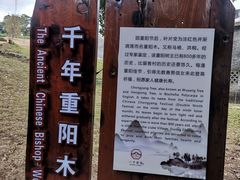 -蔡家宅
