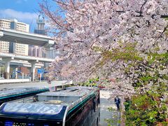 -南浦大桥长途旅游客运站