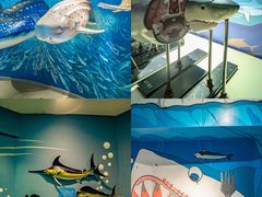 -烟台海昌鲸鲨海洋公园