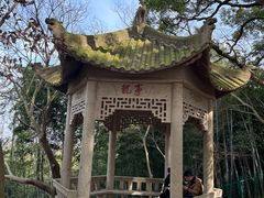 -上海佘山国家森林公园西佘山园