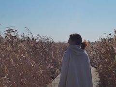 -盐城丹顶鹤湿地生态旅游区