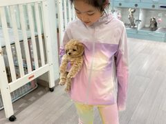 -萌宠之家·腊肠犬·马尔泰·小体犬舍