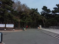 -长春市南湖公园