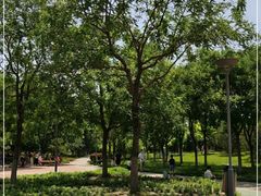 -大兴滨河森林公园