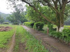 -八卦田遗址公园