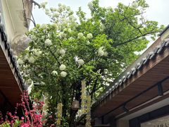 -王捌小院(红花坡店)