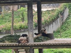 -碧峰峡风景区