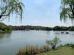 -宜兴龙背山森林公园