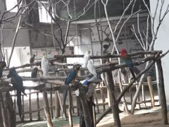 -哈尔滨北方森林动物园