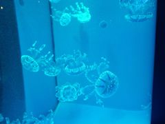 -石林冰雪海洋世界