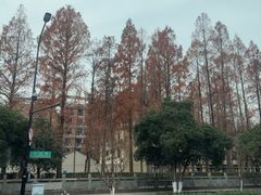 -浙江大学(玉泉校区)