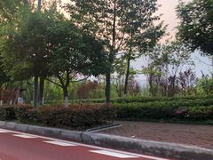 -铁山坪森林公园